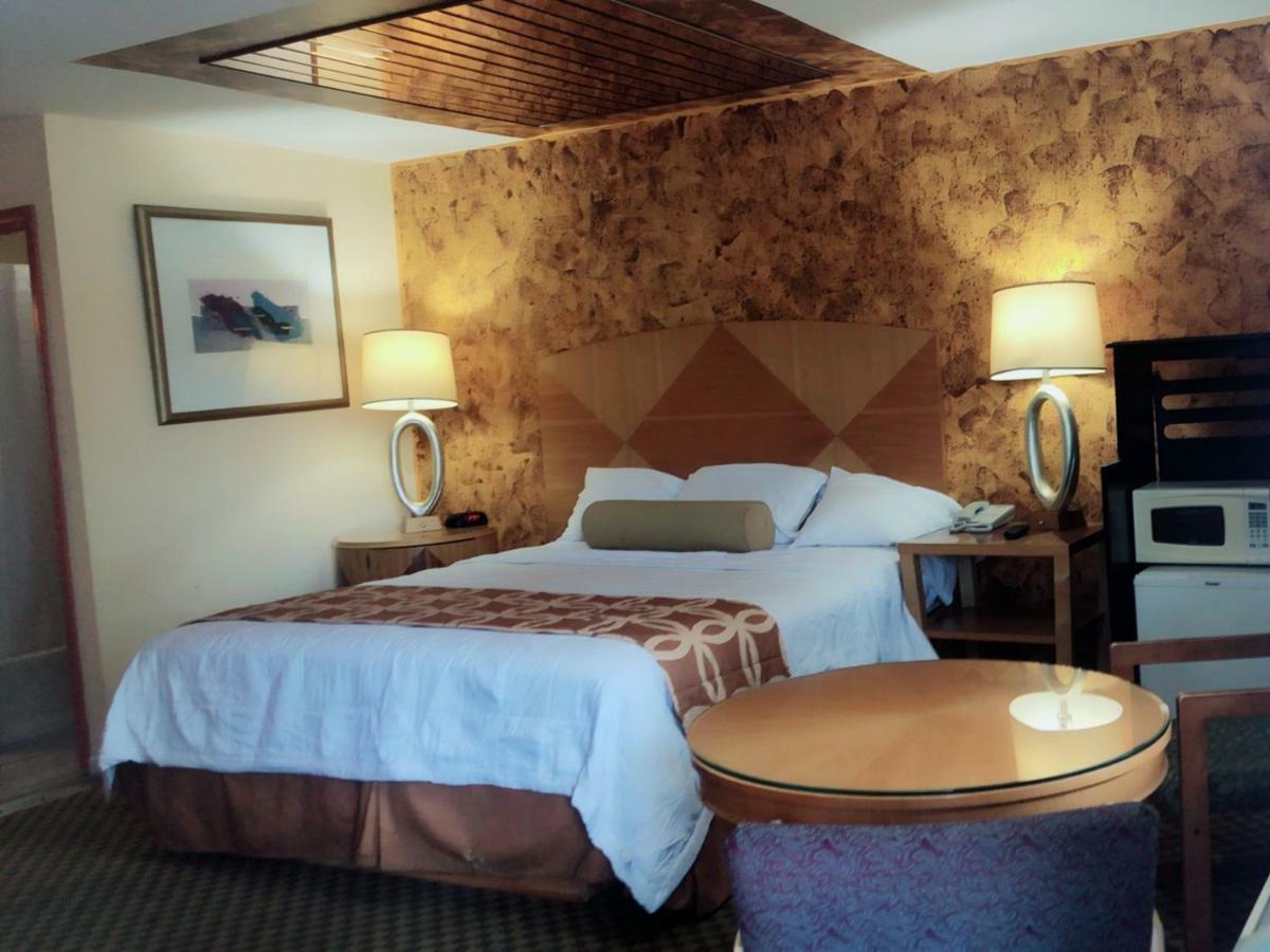 Sunflower Inn Galloway Luaran gambar